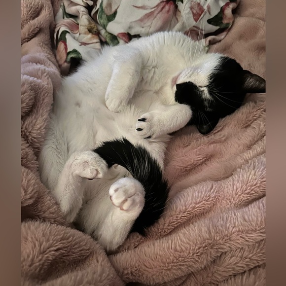 Meet your Posher, Kimberly - Picture 8 of 13